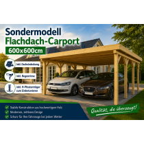 Sondermodell Doppelcarport 600x600cm KVH